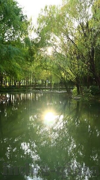 28号世界杯比赛日本-日本在28号世界杯比赛中的精彩表现