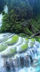 太阳报足球比分比分直播-揭秘太阳报足球比分直播，速度与激情的实时碰撞，球迷的狂欢盛宴