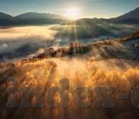 足球比分直播366-足球比分直播366，球迷的实时信息中枢与激情共享平台